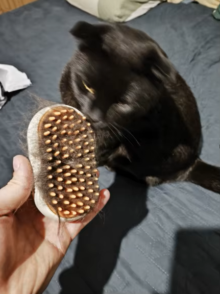 VapoBrush - Spazzola con Nebulizzatore photo review