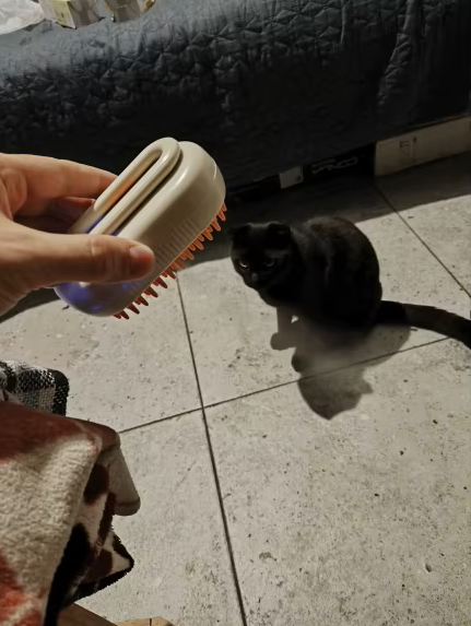 VapoBrush - Spazzola con Nebulizzatore photo review