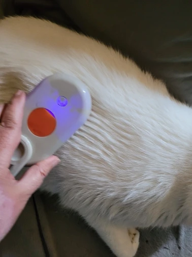 VapoBrush - Spazzola con Nebulizzatore photo review